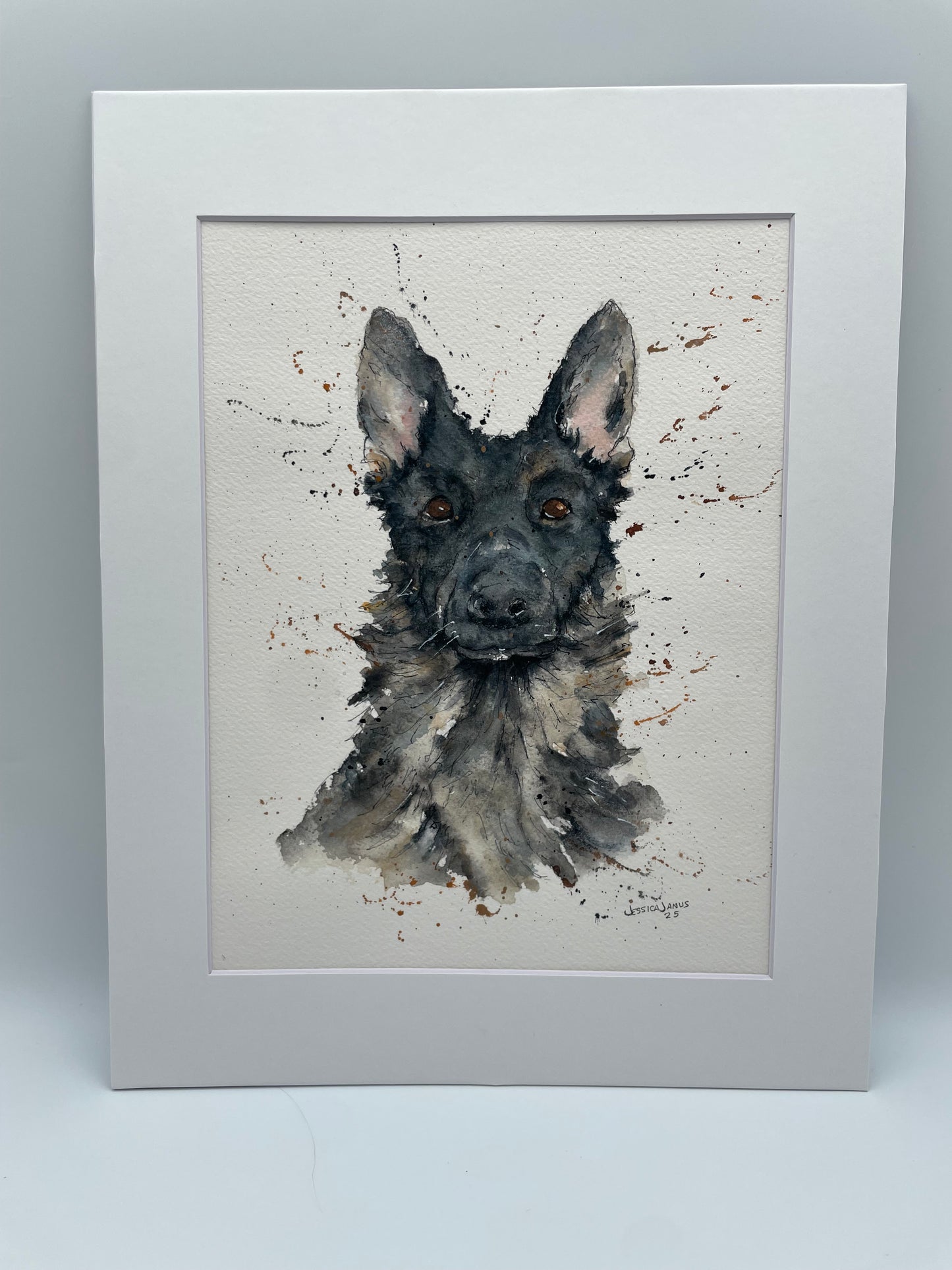 Pets and animals