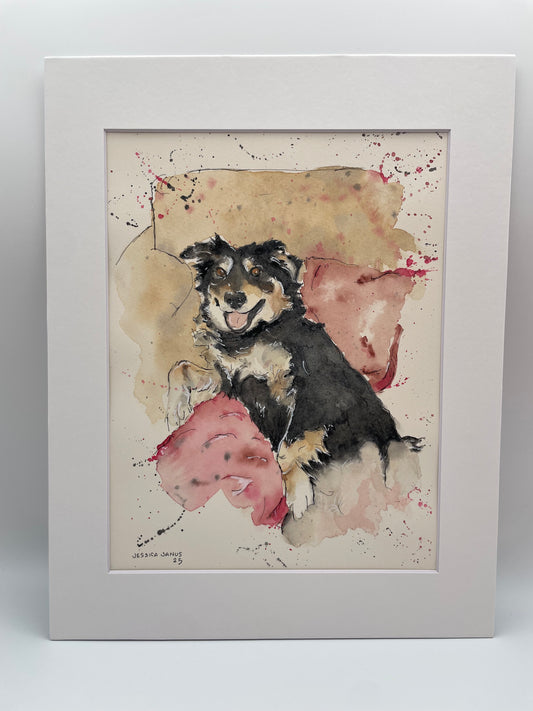 Pets and animals